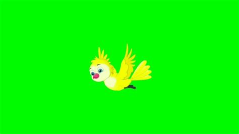 No Copyright Green Screen Cartoon Bird Green Screen Bird YouTube