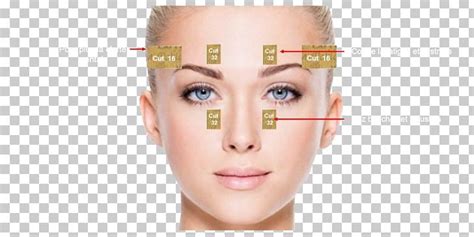 Dermatology Aesthetic Medicine Cosmetics Aesthetics Png Clipart