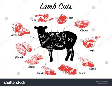 Lamb Cuts: Over 9,045 Royalty-Free Licensable Stock Illustrations ...