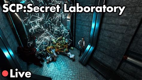 SCP Secret Laboratory Models