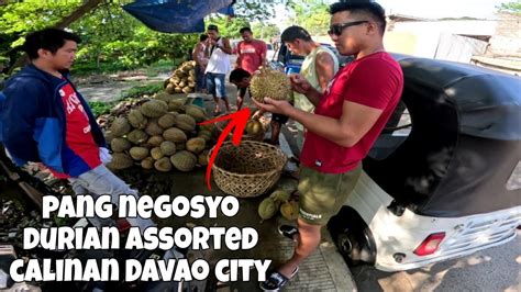 DURIAN FARMING DURIAN ASSORTED MAGANDA PANG NEGOSYO YouTube