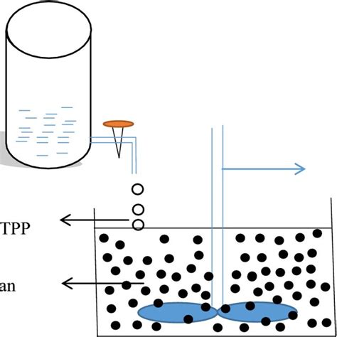 The Process Of Chitosan Nanoparticle Formation Download Scientific Diagram