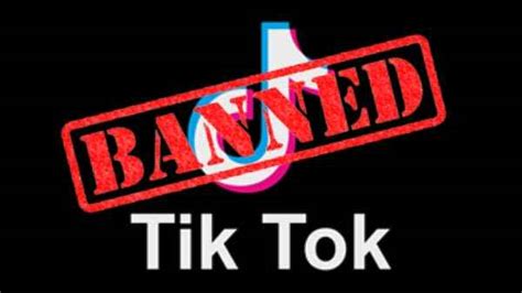 U S Army Bans Use Of Tiktok For Soldiers