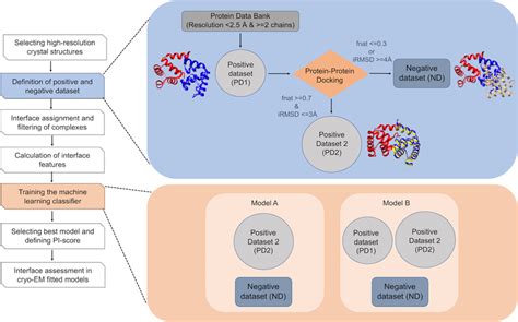 Workflow For Developing A Protein Protein Interface Based Score Download Scientific Diagram