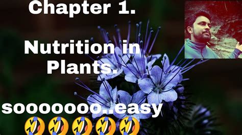 Chapter 1 Class 7th Science Ncert NCERT Nutrition In Plants YouTube