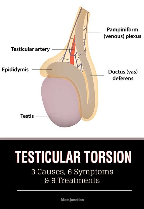 Testicular Torsion Diagnostic Test