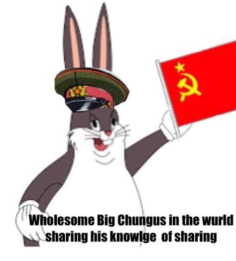 Can I Please Fuck Big Chungus R Cpcmoment