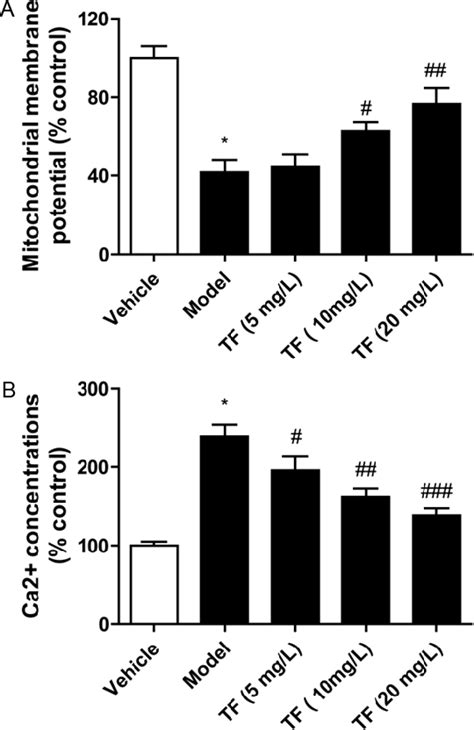 Figure From Theaflavins Ameliorate Palmitic Acid Induced Human