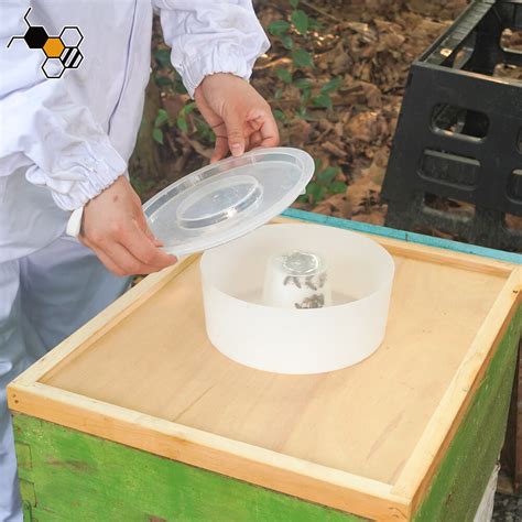 Bee Hive Top Feeder Multi Sweet Group