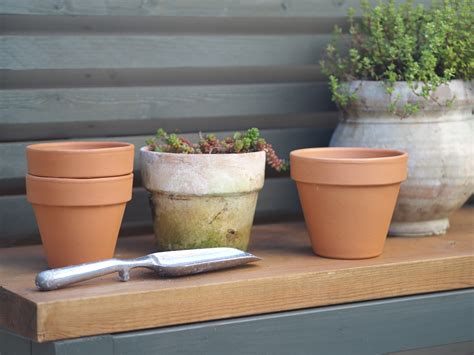 This Genius Trick Makes New Terracotta Pots Look A