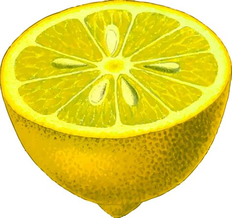 Half-lemon (detailed) - Openclipart