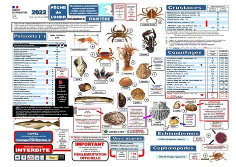R Glementation De La P Che Maritime De Loisir Mairie Le Conquet