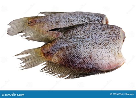 Pescados Salados Secados Al Sol De La Hoja Aislados En Blanco Foto De