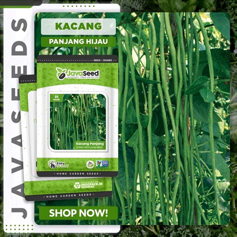 Jual Benih Kacang Panjang Hijau Green Parade Tavi 25 Benih Shopee