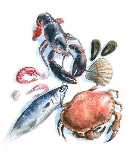 Seafood Watercolor Digital Art By Axllll Fine Art America