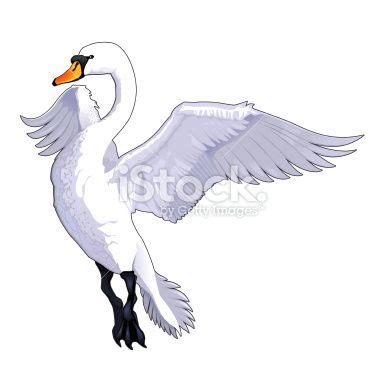 Swan Flying Painting