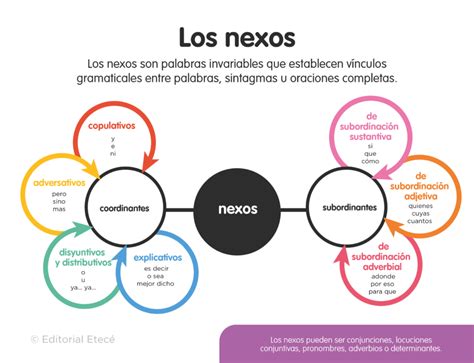 Cu Les Son Los Muchos Ejemplos De Nexos De Consecuencia