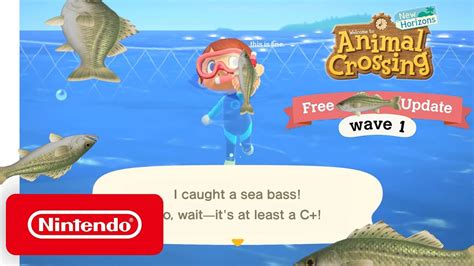 Animal Crossing New Horizons Sea Bass Update Youtube