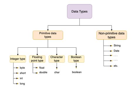 Primitives And Non Primitive Data Types