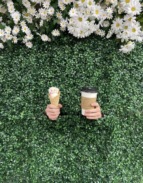 Hole in the Wall Coffee & Ice Cream | Mound City MO