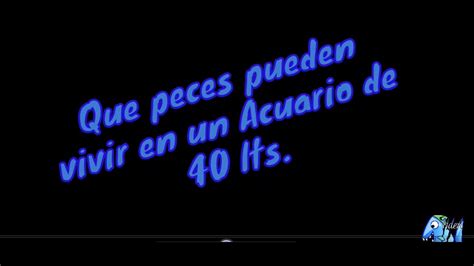Que Peces Meter En Un Acuario De Litros Actualizado Enero