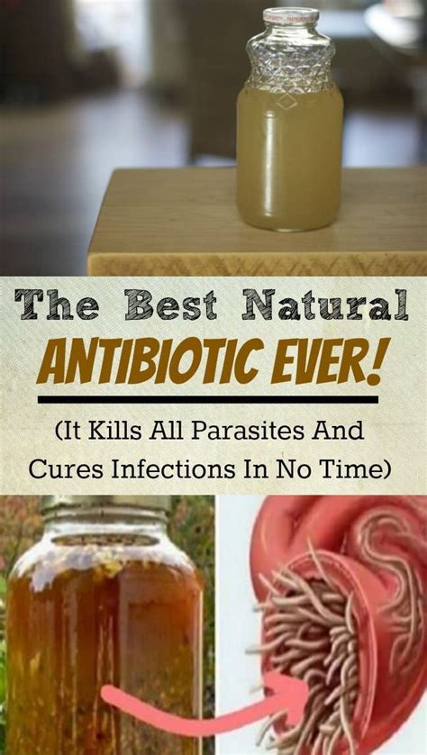 American Doctor Reveals The Most Powerful Natural Antibiotic Natural Antibiotics Health