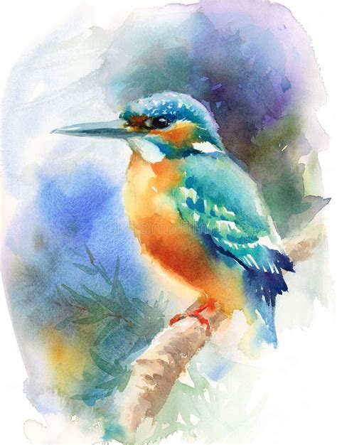 Kingfisher Bird Watercolor Illustration Hand Drawn Stock Illustration