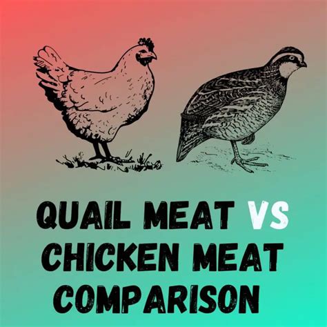 Quail Meat Vs Chicken Meat A Comprehensive Comparison