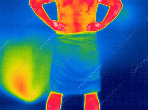 Drying Off Thermogram Stock Image P Science Photo Library