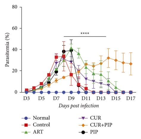 Percentage Of Parasitemia After Curcumin And Piperine Administration In Download Scientific