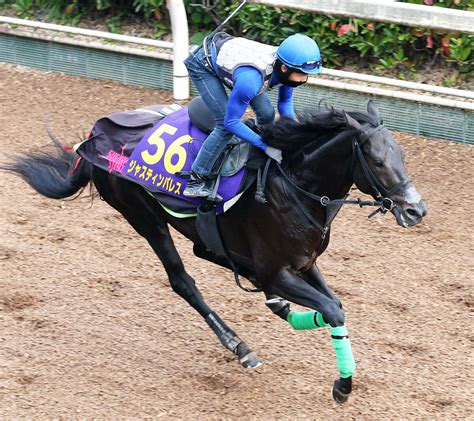 【天皇賞・秋】ジャスティンパレスの春秋連覇へ杉山晴調教師「気後れするつもりはない」 スポーツ報知