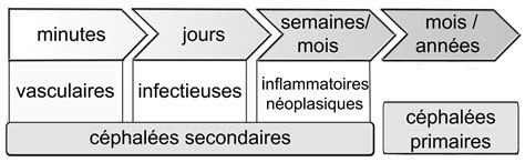 C Phal E Approche Clinique Wikimedica