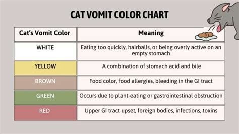 A Helpful Guide To Cat Vomit Color Chart For Pet Parents