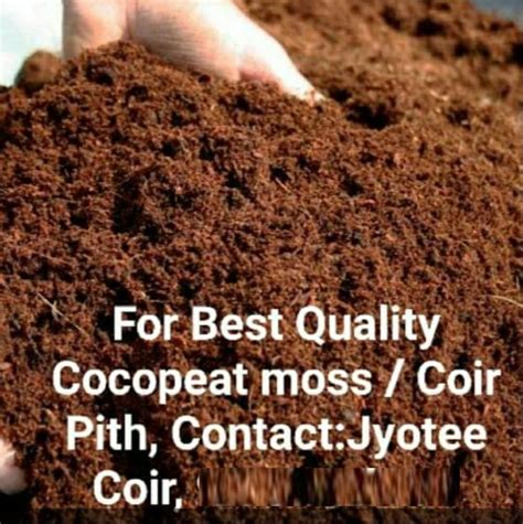 Powder Coco Coir Pith Packaging Type Bag Packaging Size Kg At Rs