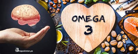 Dha Omega Fatty Acid Makes Of The Brain Fat