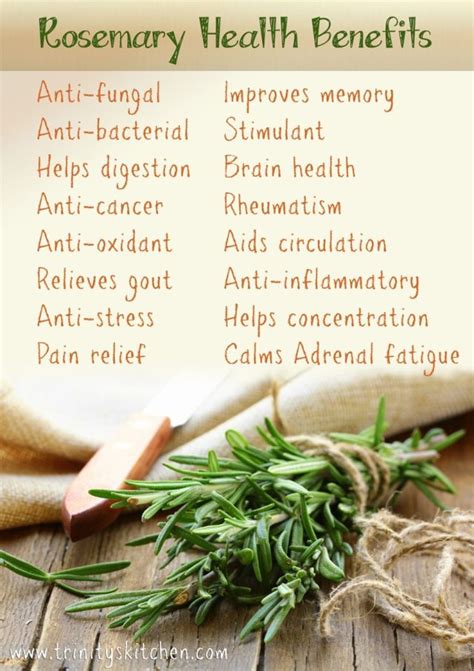 16 Science Backed Health Benefits Of Rosemary Oil How To Ripe