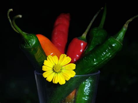 Chili Peppers Hot Flower Free Photo On Pixabay Pixabay