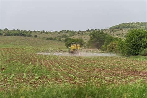 Campo De Trigo Fumigado Por Tractores Imagen De Archivo Imagen De