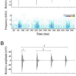 Example Of Agonistic Sounds Produced By Amphiprion Frenatus During