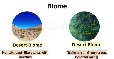 What Is Biome Definition Types Examples And Importance