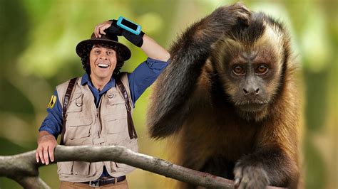 Andys Safari Adventures Series 1 9 Andy And The Capuchins BBC IPlayer