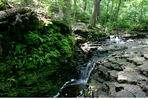 Waterfall Glen In Darien Il Forest Preserve District Of Dupage County