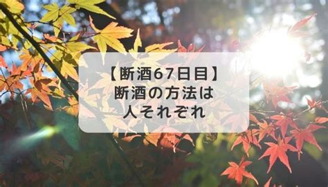 断酒の方法は人それぞれ。助けになるものは何でも利用してみる【断酒67日目】 【断酒ブログ】子育て主婦はるかの断酒道【アラフォー・女性】