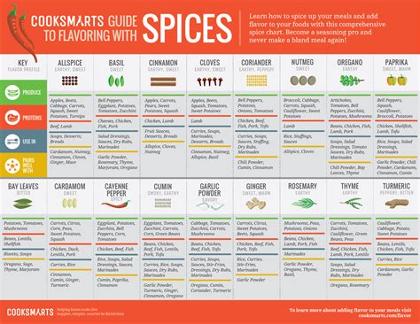 A Comprehensive Spice Chart For Seasoning Like A Pro Infographic