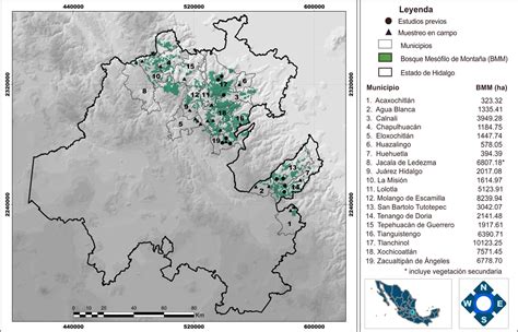 Licofitas y helechos del bosque mesófilo de montaña del estado de