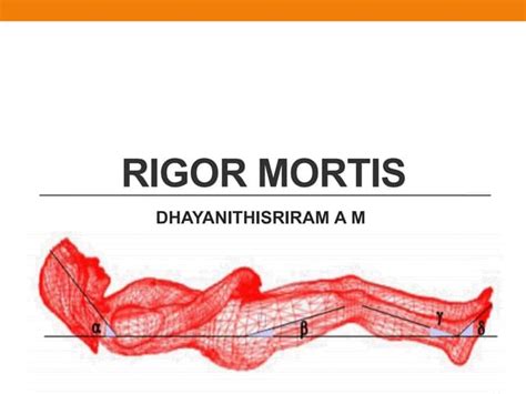 RIGOR MORTIS FORENSIC MEDICINE PRESENTATION | PPT