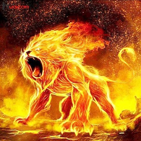 Lion Fire Fire Vs Ice Lions Hd Phone Wallpaper Pxfuel