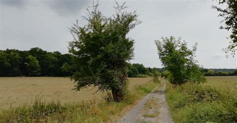 Balade en province de Hainaut: la promenade de l'Eau Blanche - Femmes d'Aujourd'hui