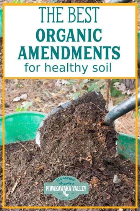 Organic Amendments For Healthy Soil How To Improve Your Dirt