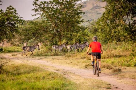 Uganda Cycling Safari Eco Adventure Safaris